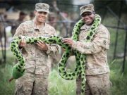 US Army soldiers during exercise Anakonda 2016