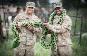 US Army soldiers during exercise Anakonda 2016