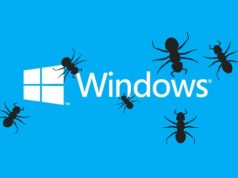 Windows logo with bugs on top