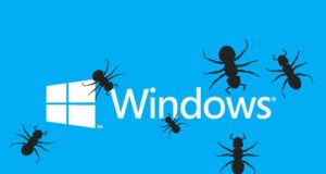 Windows logo with bugs on top
